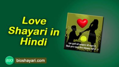 Love Shayari in Hindi