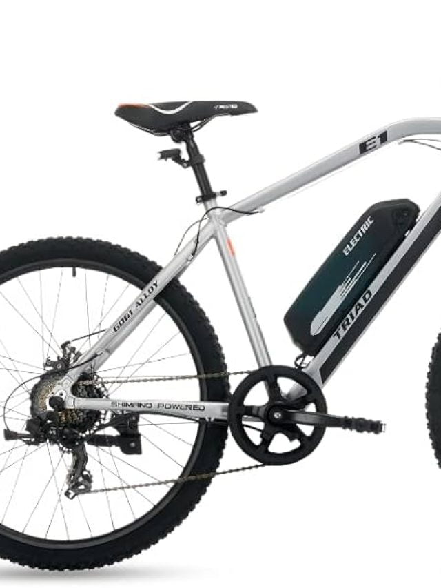 Electric bicycle